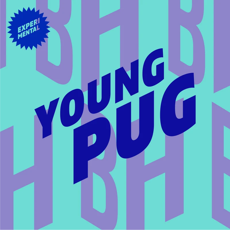Bière Brique House Young Pug IPA 0,5% sans alcool