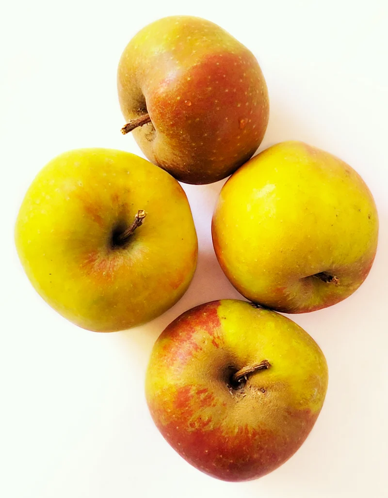 Pomme Boscoop | Compote | Bio