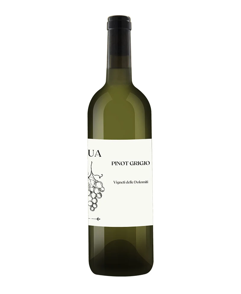 2023 Pinot Grigio - L'ua