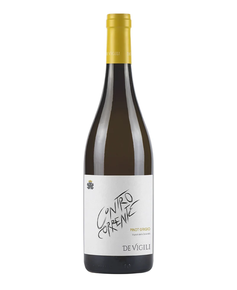 2024 Pinot Grigio Controcorrente - De Vigili