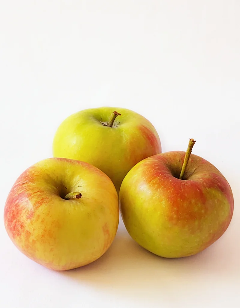 Pomme Elstar | Bio