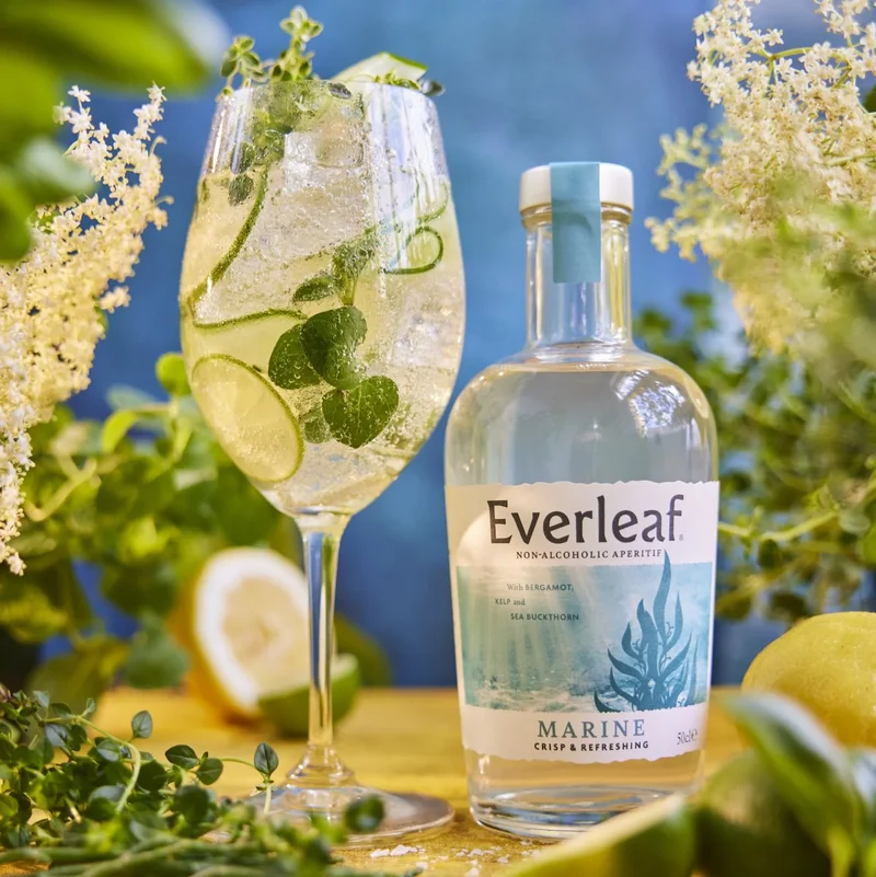 Everleaf Marine sans alcool 0,0%