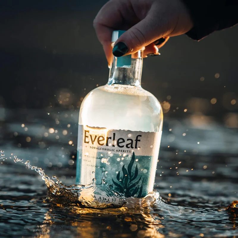 Everleaf Marine sans alcool 0,0%