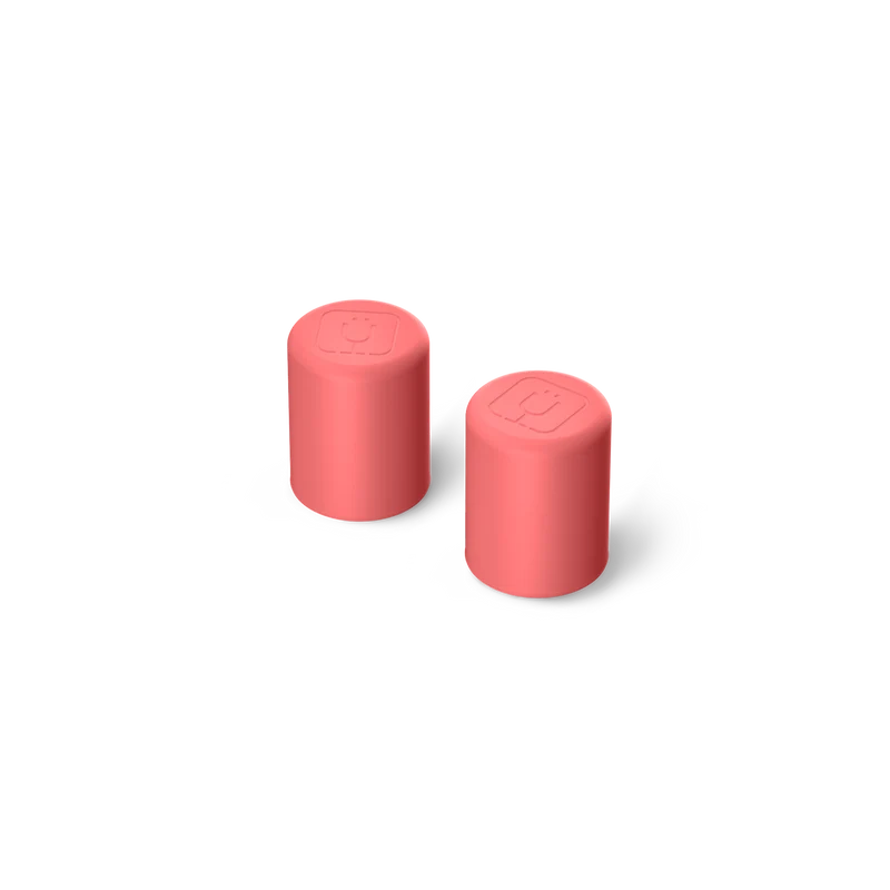Magnetic Straw Cover | Cascading Florals | 2-Pack