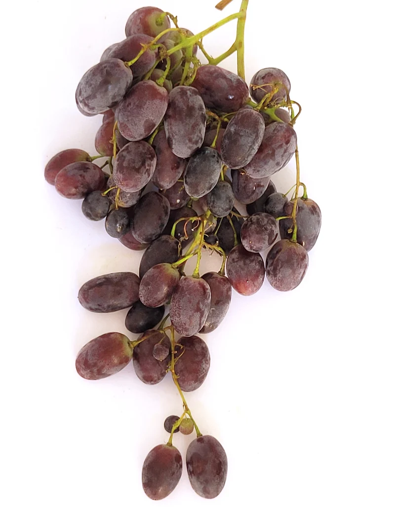 Raisin Noir | 300g | Bio