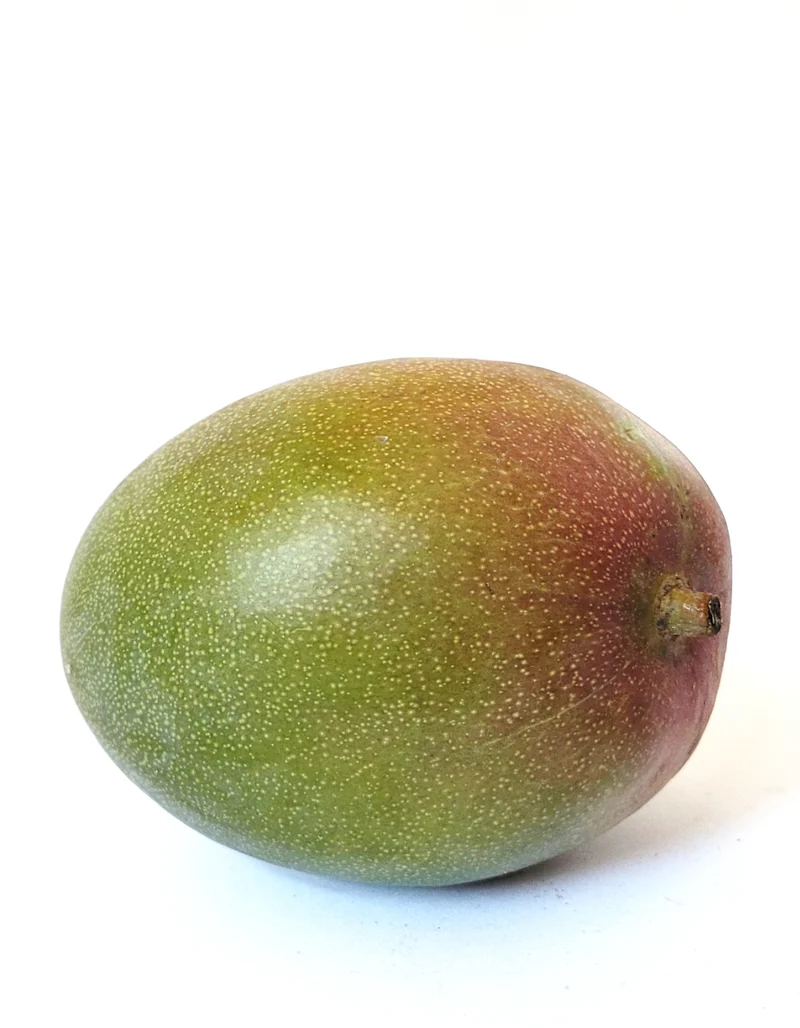 Mangue | 1 Pce | Bio