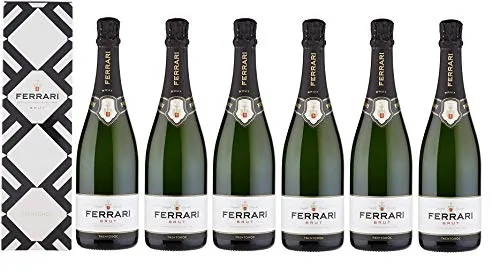 Ferrari Trentodoc Brut Metodo Classico [ 6 Bottiglie x 750ml ] *senza custodia*