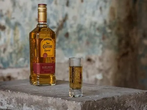 Jose Cuervo Especial Reposado 100cl – Tequila invecchiato 4 mesi in botti di quercia. Gusto dolce. 38% vol.