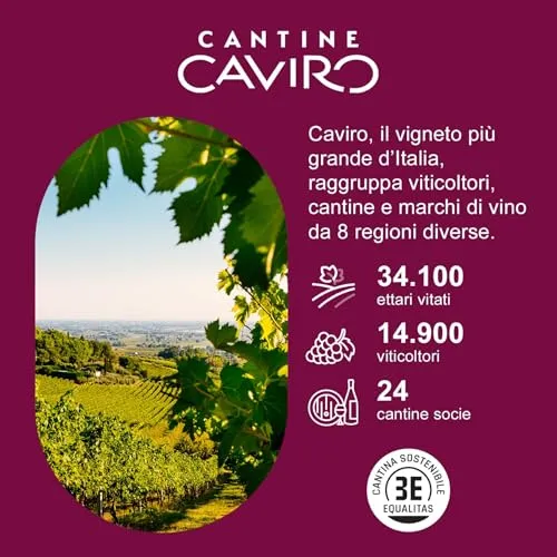 Tavernello Classico Vino Bianco d'Italia, Vino Secco con Profumi Fruttati
