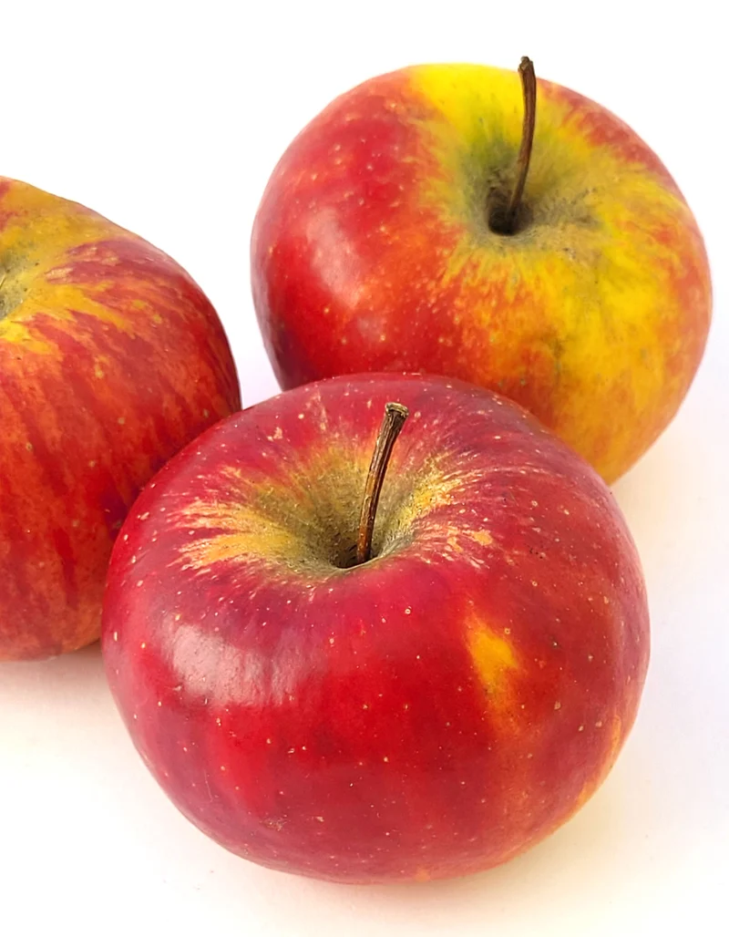 Pomme Topaz | 500g | Bio