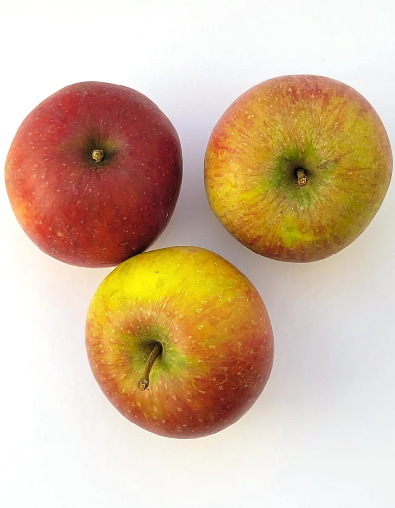 Pomme Natyra | 500g | Bio