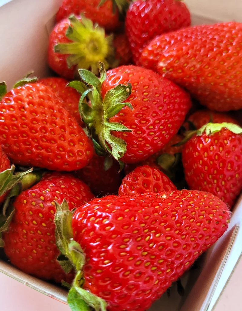 Fraise Ravier | 250g | Bio