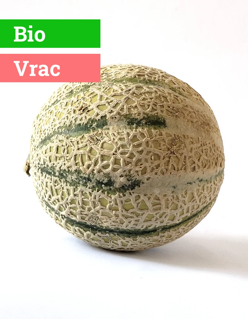Melon Charentais | 1 Pce | Bio