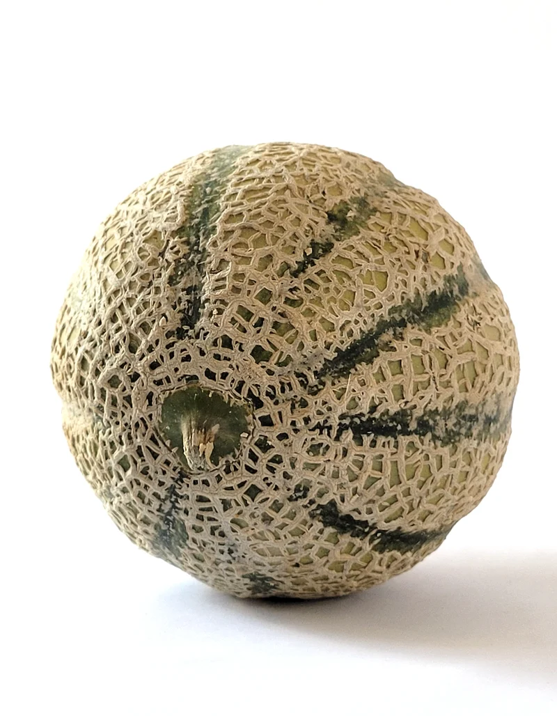 Melon Charentais | 1 Pce | Bio