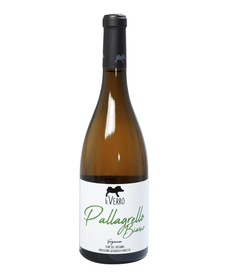 2024 Pallagrello Bianco Verginiano Bio* - Il Verro