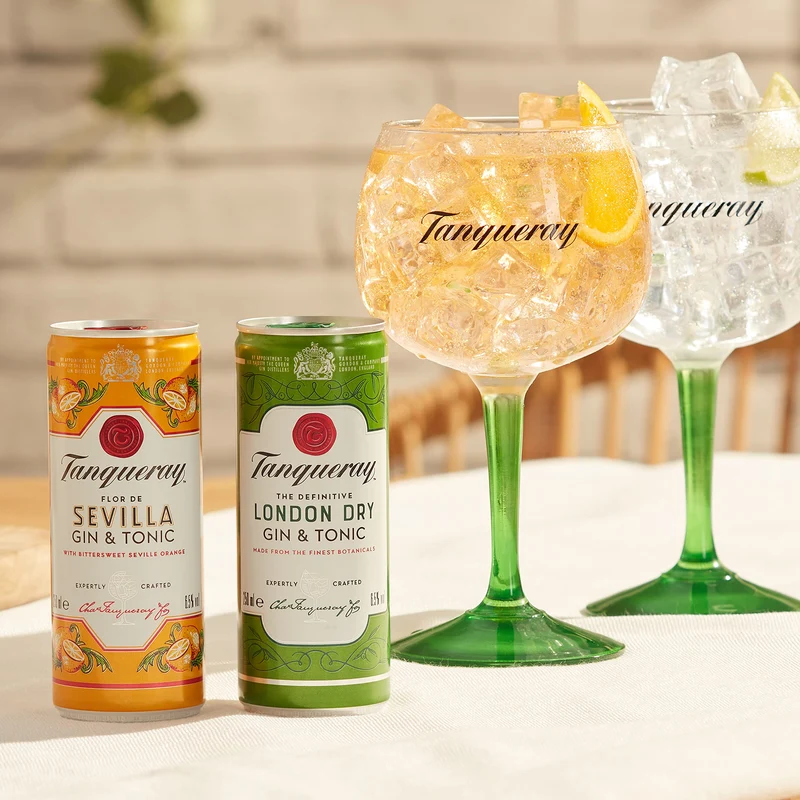 Tanqueray London Dry - Premix Gin & Tonic, Pack di 12 Lattine da 250 ml