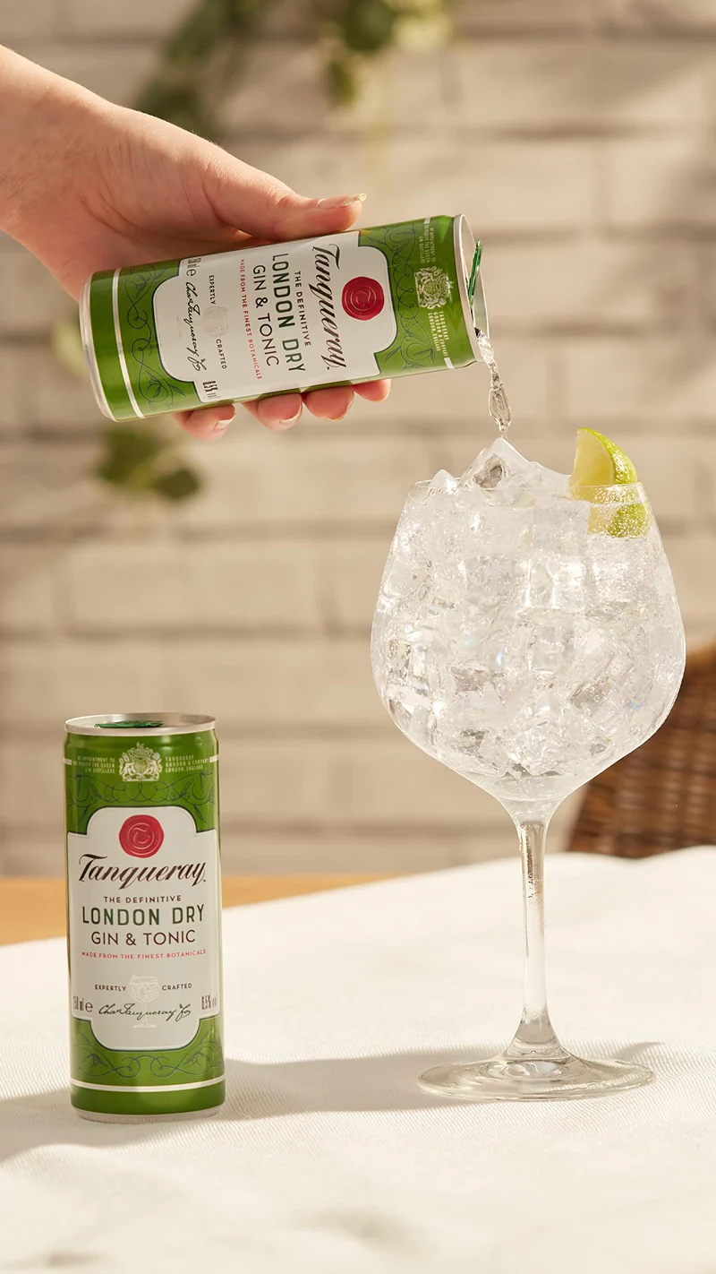 Tanqueray London Dry - Premix Gin & Tonic, Pack di 12 Lattine da 250 ml