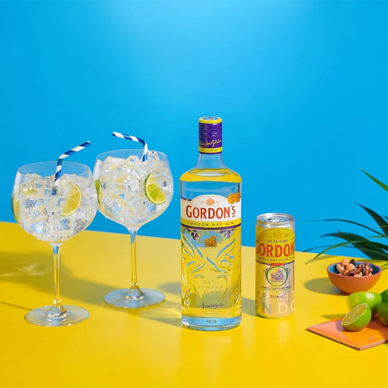 Gordon's London Dry Gin - 1 L