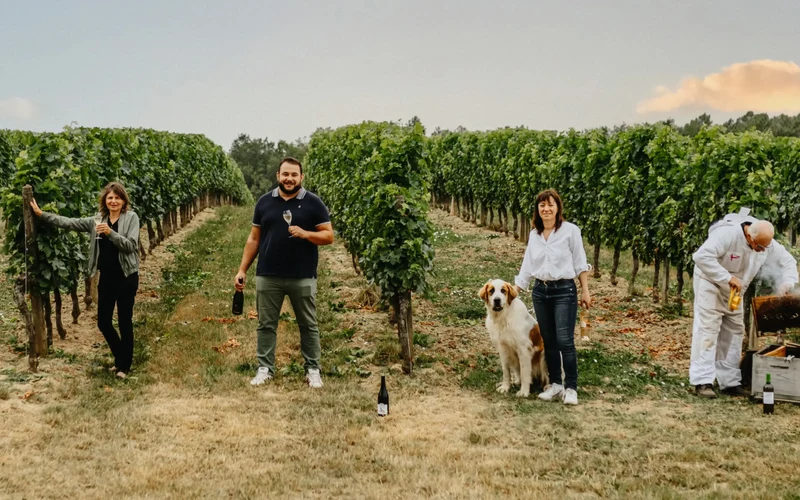 Vin blanc Sauv'Terre sans alcool 0,0%