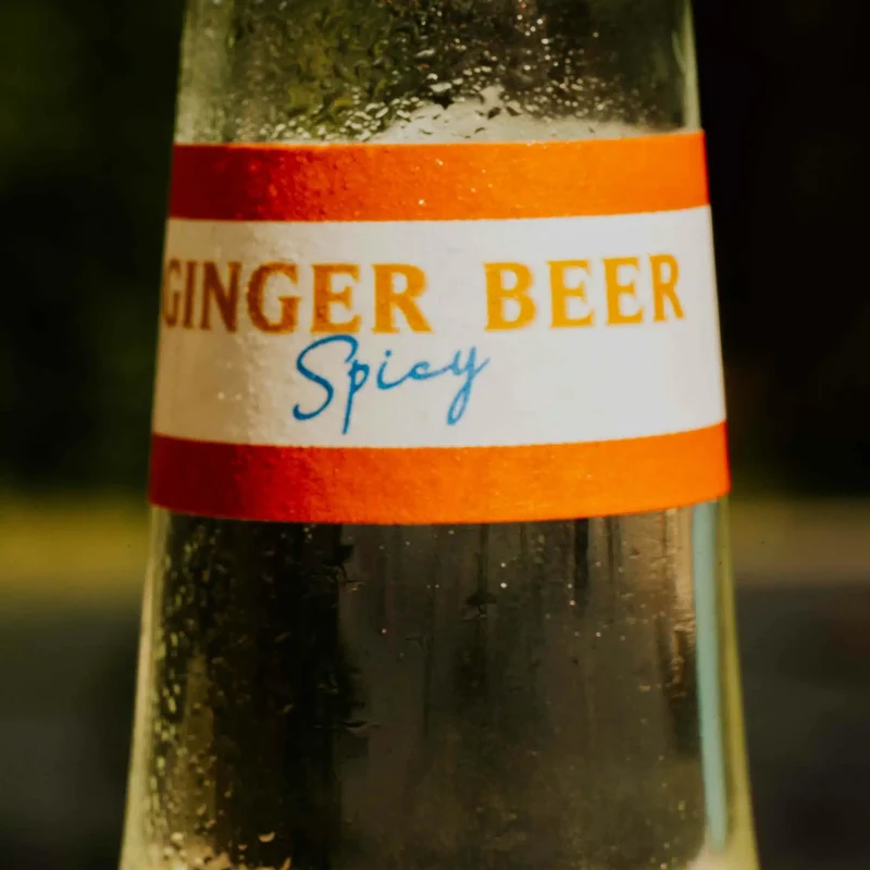 Ginger Beer spicy Bio Hysope 75 cl