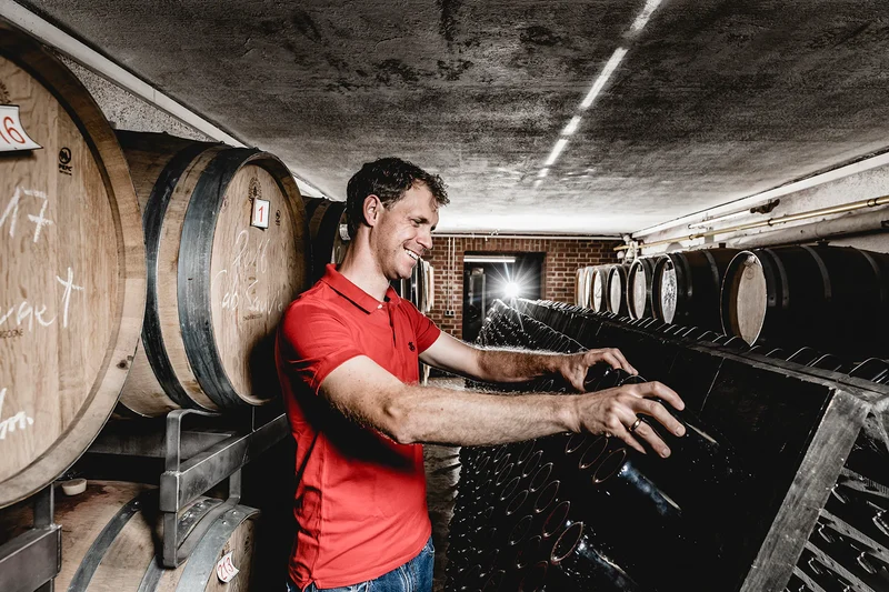 Strauch vin rouge 0.5% sans alcool