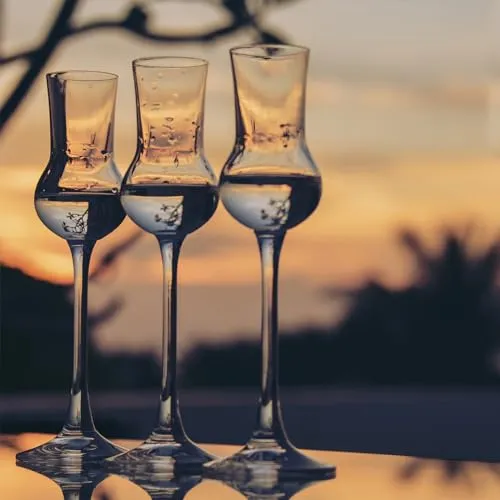 Bottega Fumé Grappa