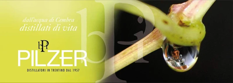 Pilzer Acquavite di Pere Williams 0,50 l. Distilleria Pilzer - Val di Cembra