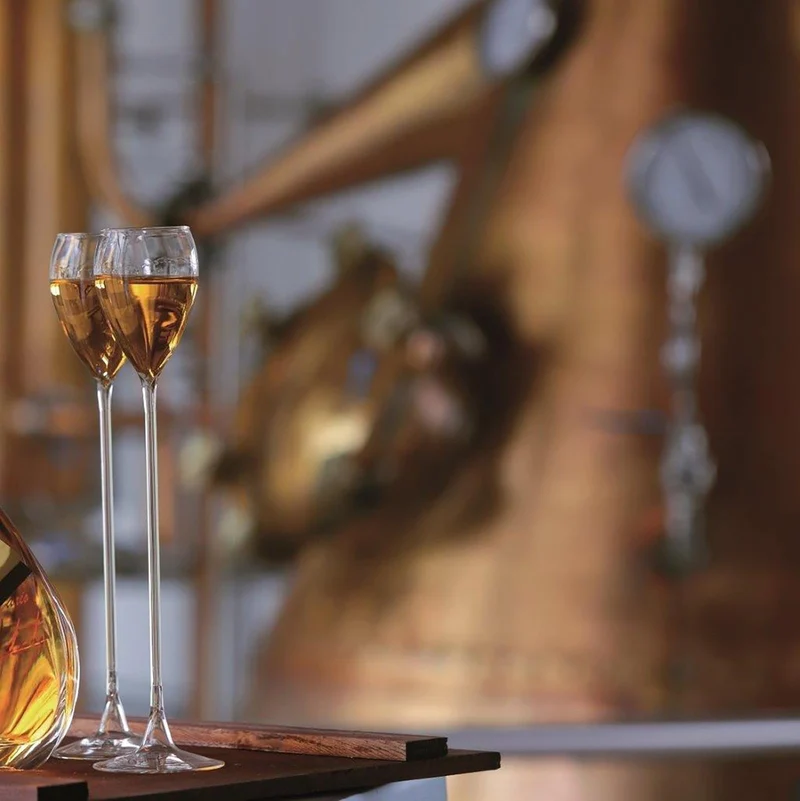 Bottega Grappa Tardiva da Uve Passite di Amarone 38% - 500ml