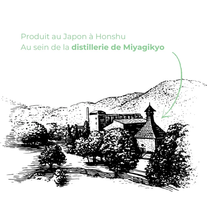Nikka Coffey Gin 47% Vol. 0,7l