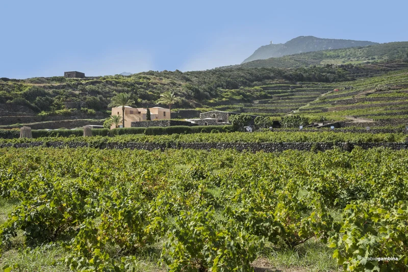 Donnafugata Ben Ryé 2022, Passito di Pantelleria - 375 ml