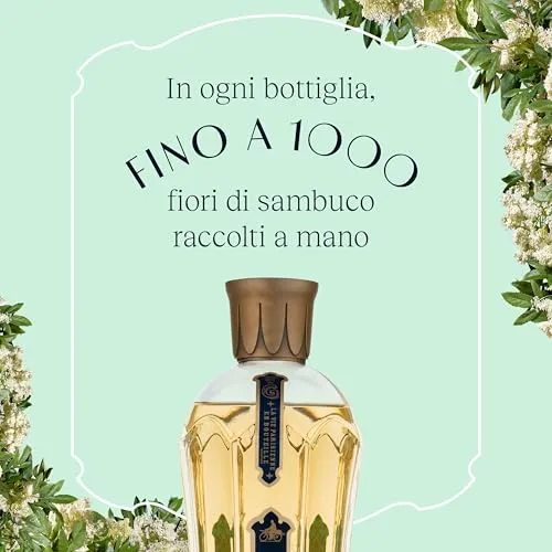St-Germain Liquore Artigianale ai Fiori di Sambuco e Hugo Cocktail Kit con liquore