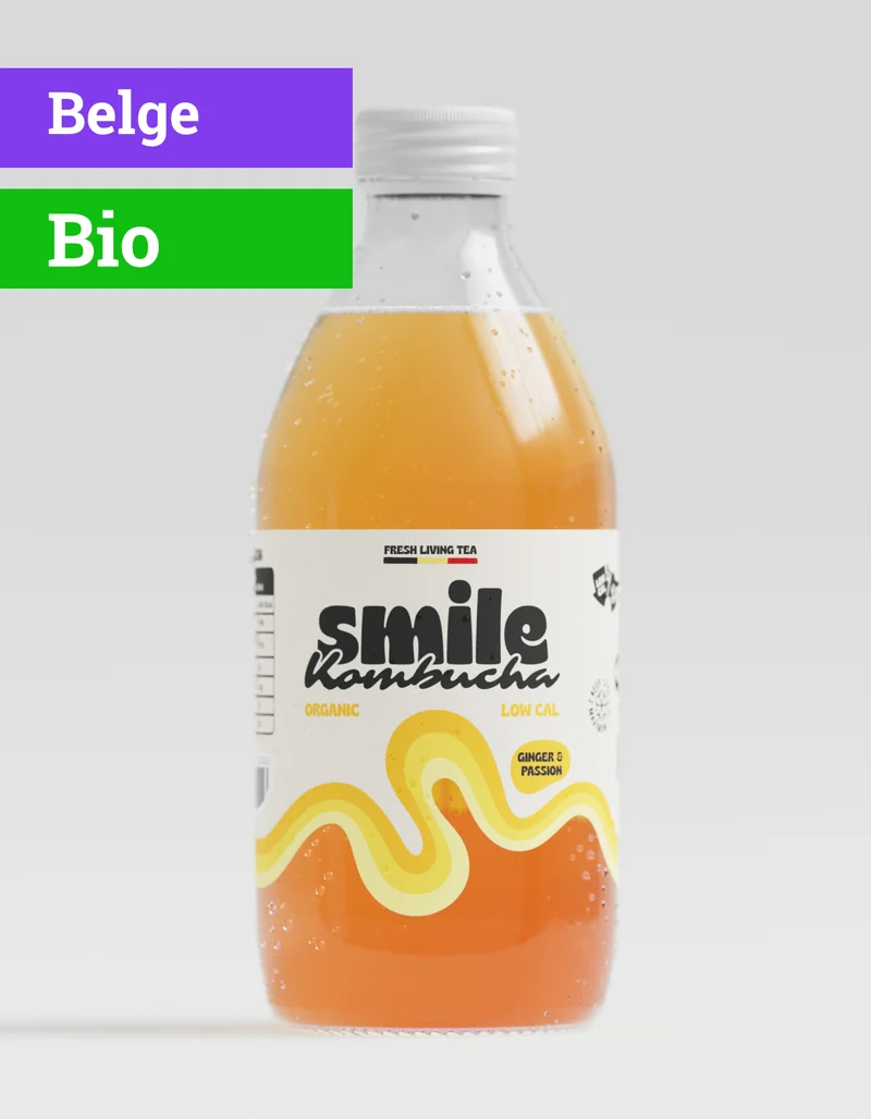 Kombucha Ginger Boost | 33cl | Bio