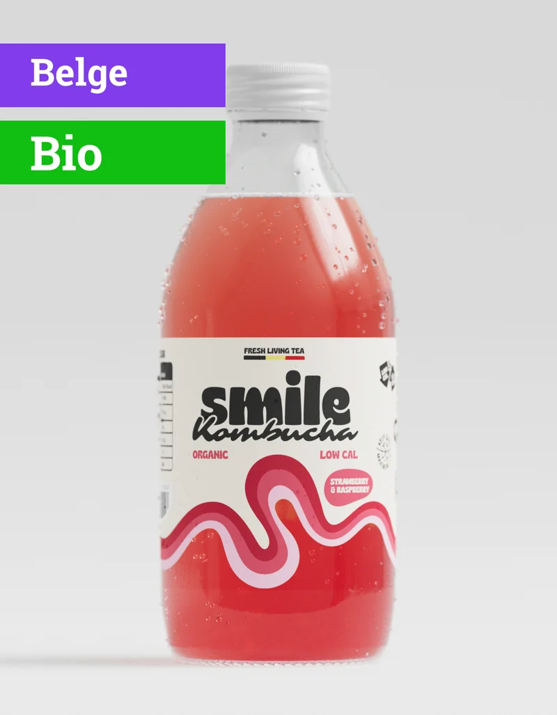 Kombucha Mighty Berry | 33cl | Bio