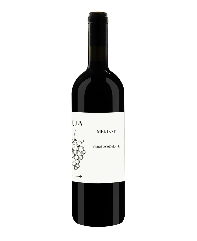 2023 Merlot - L'ua