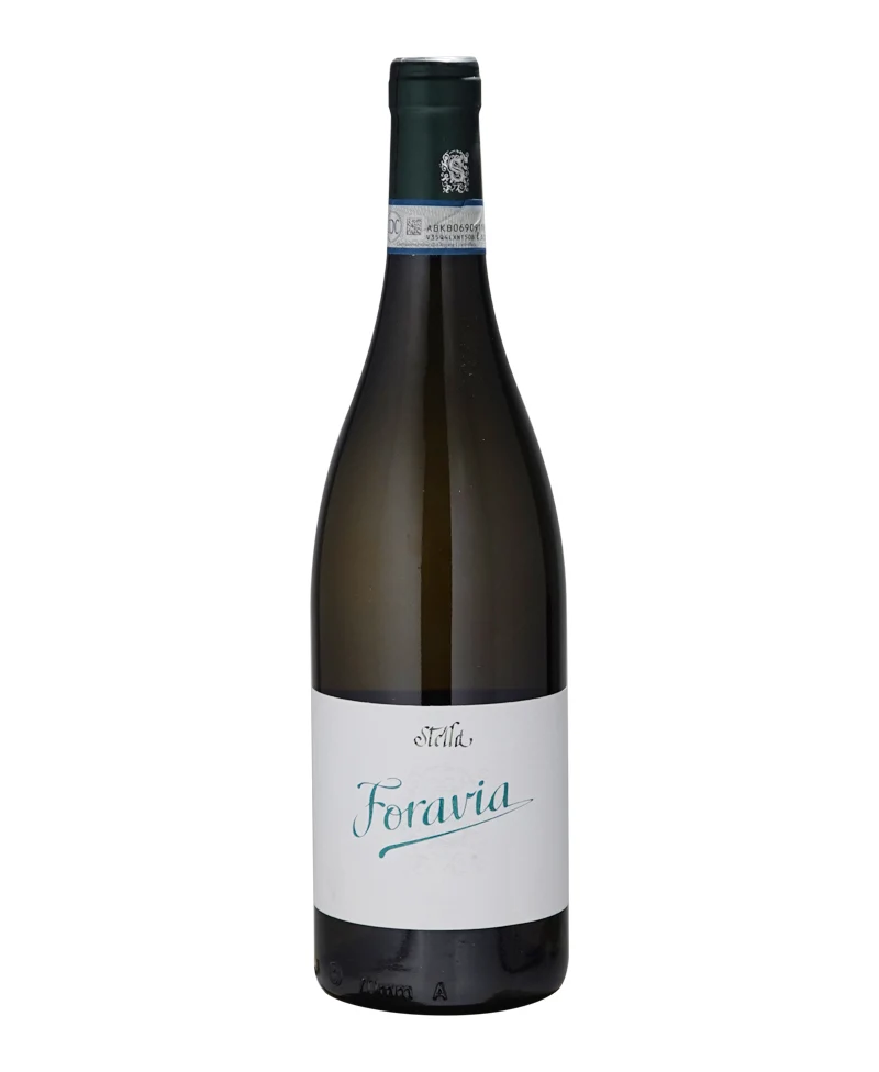 2023 Riesling Foravia - Stella