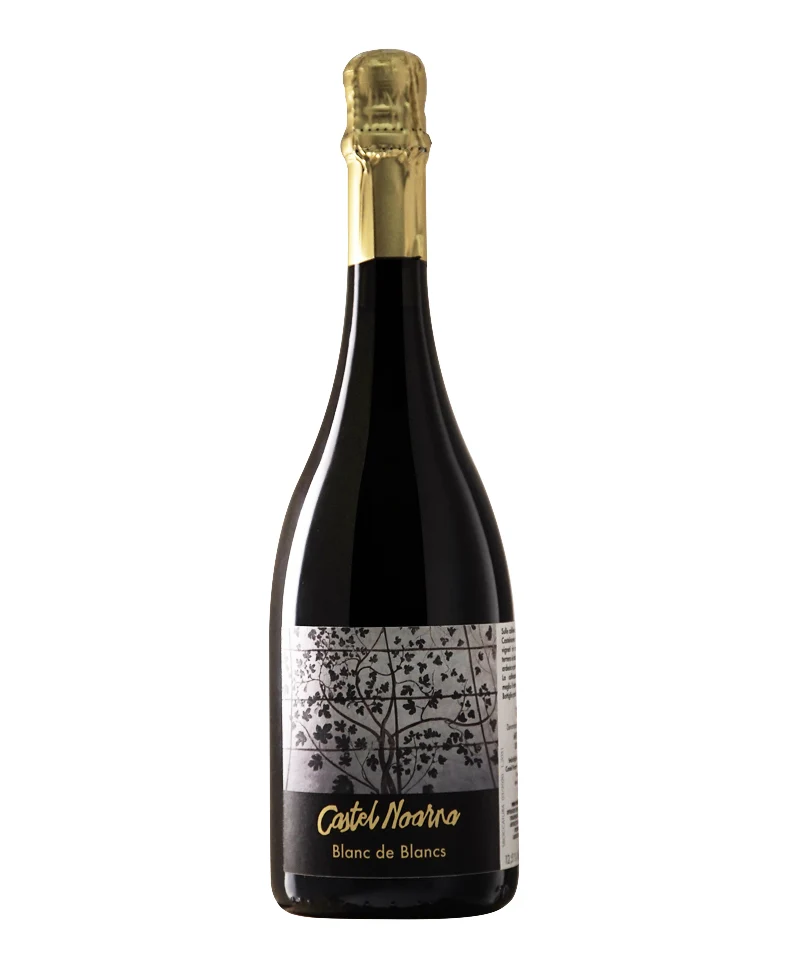 2018 Trento Blanc De Blancs Extra Brut Bio* - Castel Noarna