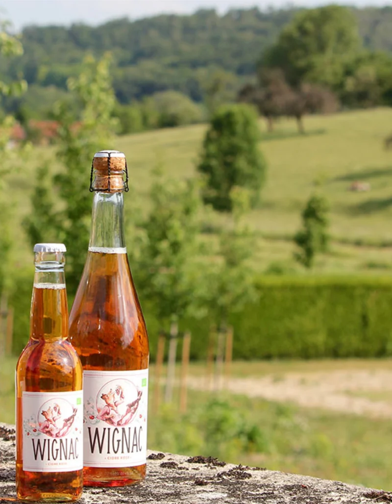 Cidre Rosé | 33cl | 33cl | Bio