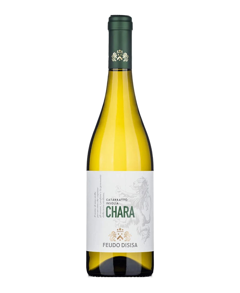 2024 Chara Promo - Disisa