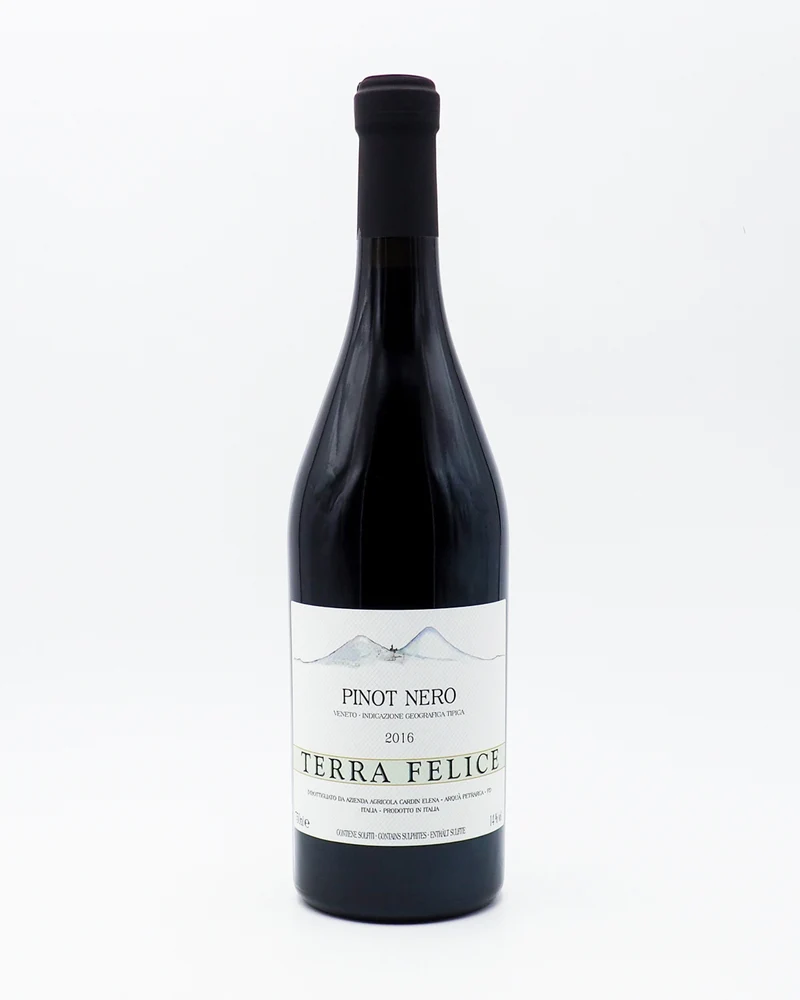 Pinot Nero 2016 - Cantina Terra Felice