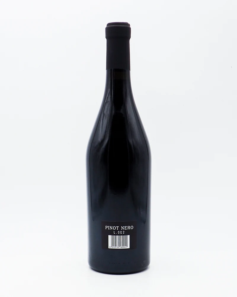 Pinot Nero 2016 - Cantina Terra Felice