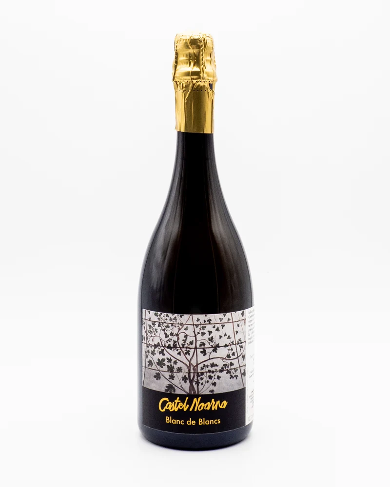 Trento Doc Blanc De Blancs Biologico Dosaggio Zero - Castel Noarna