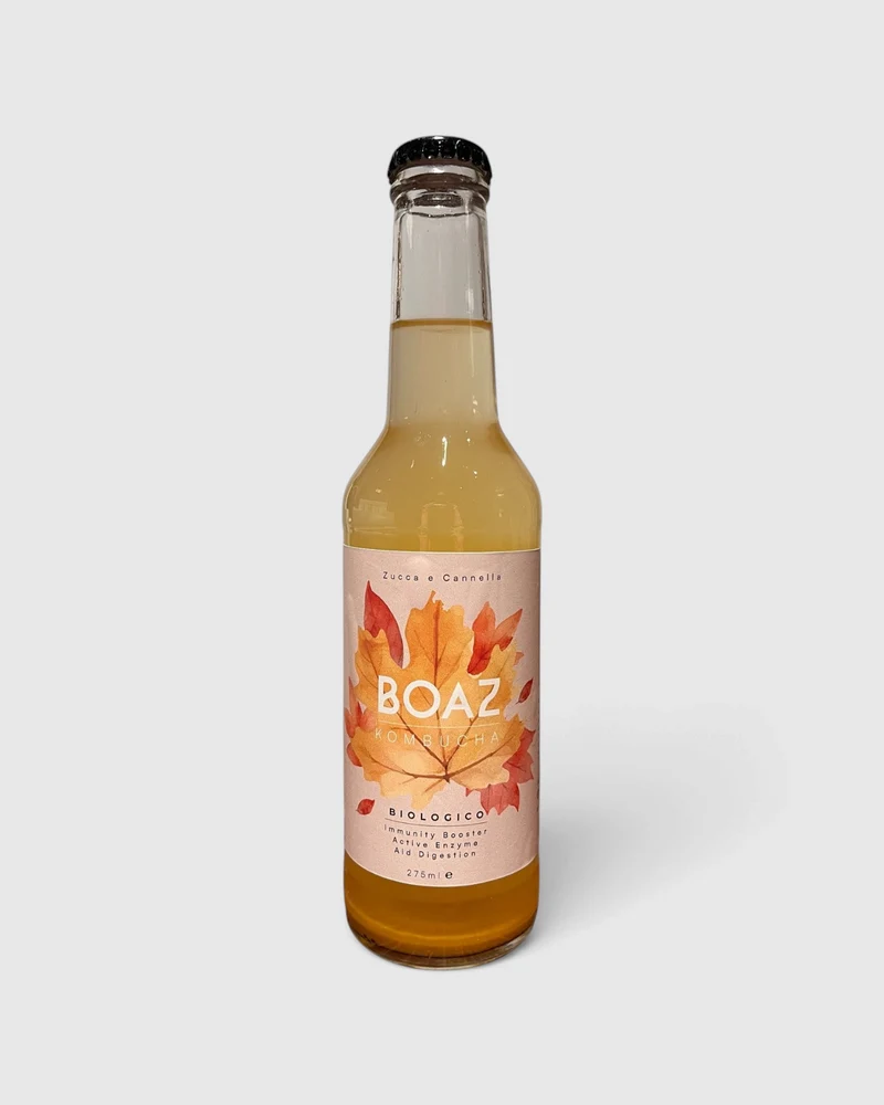 Kombucha Bio Zucca e Cannella - Boaz