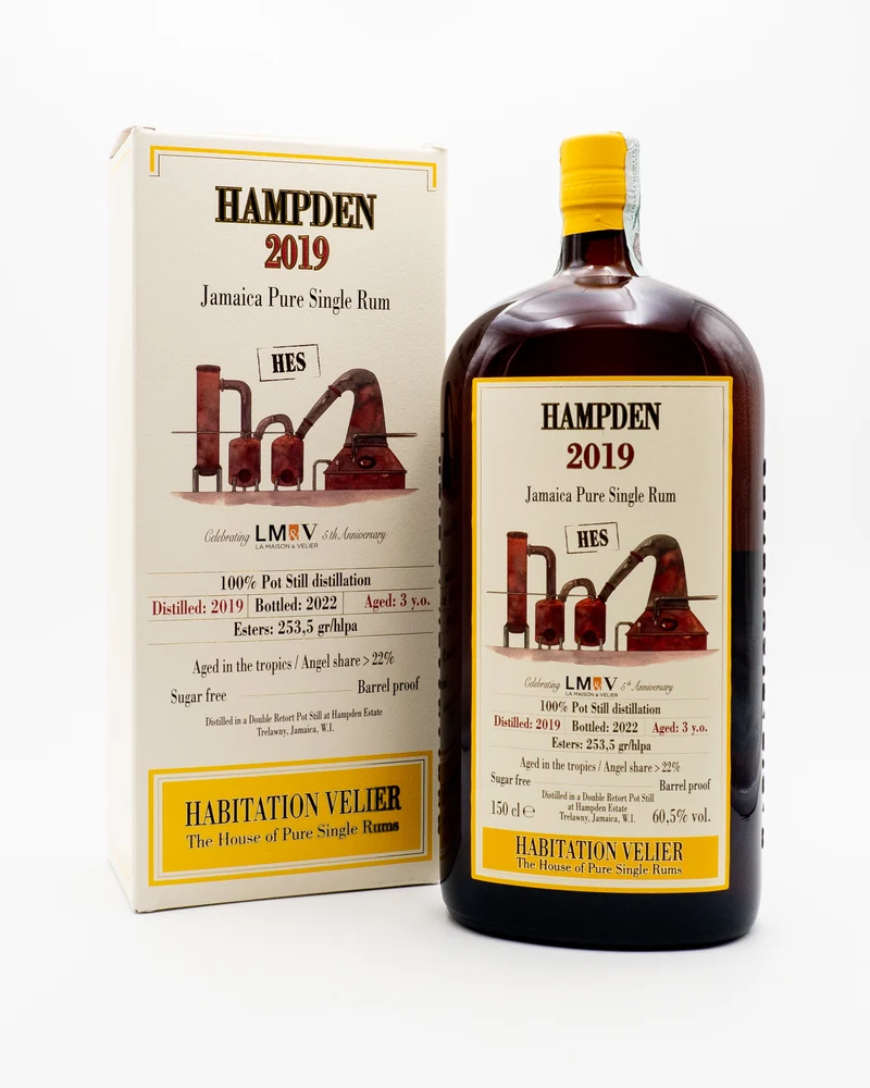Hampden 3yo 2019 HES 5th Anniversary LM&V cl150