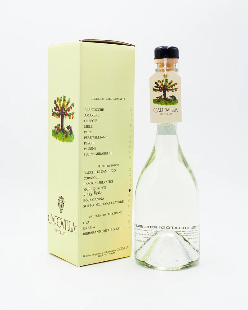 Distillato di Ribes Nero - Capovilla