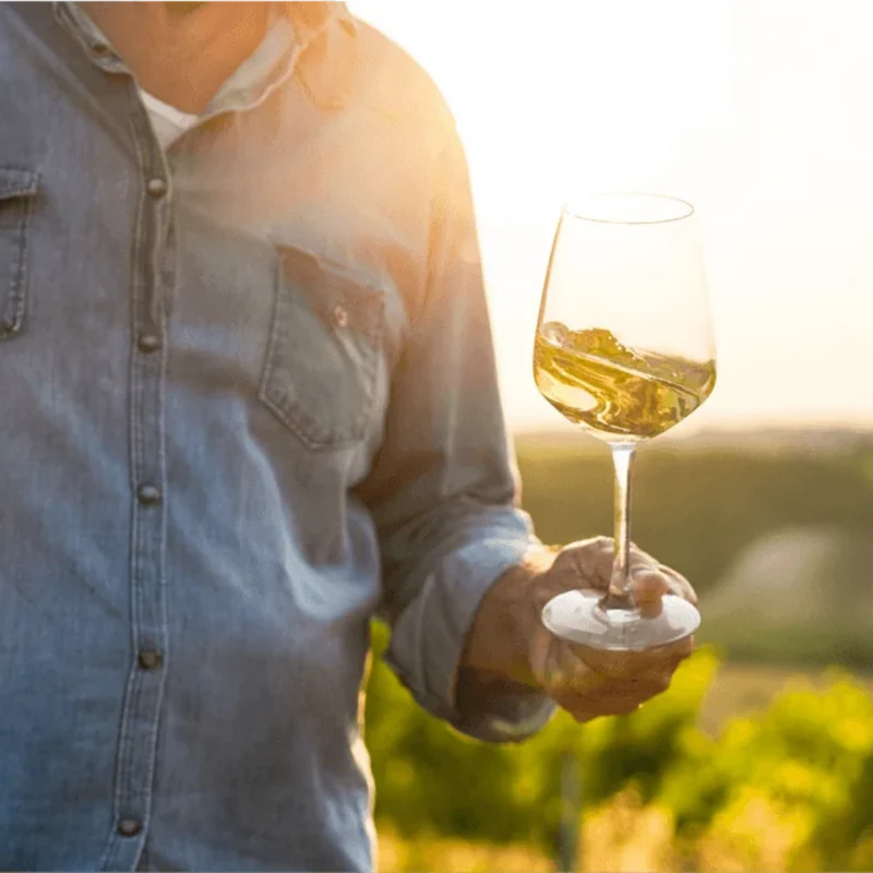 Sauvignon Blanc 0% - UBY