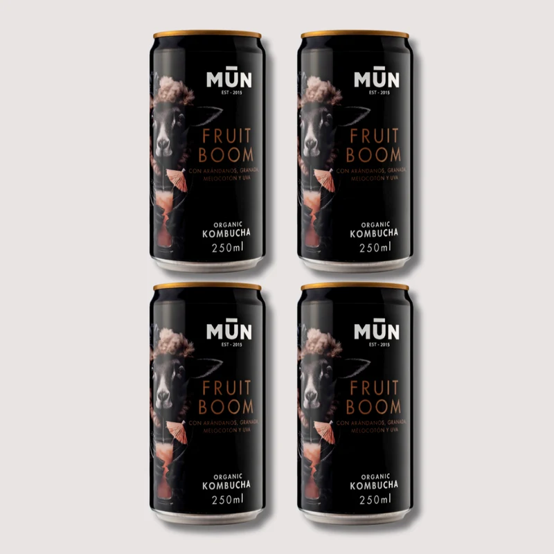 RADIKAL Try me Fruit Boom | 4 latas 250 ml