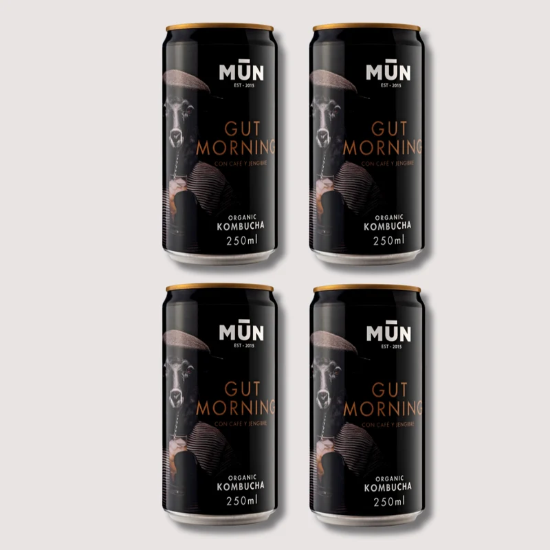 RADIKAL Try me Gut Morning | 4 latas 250 ml
