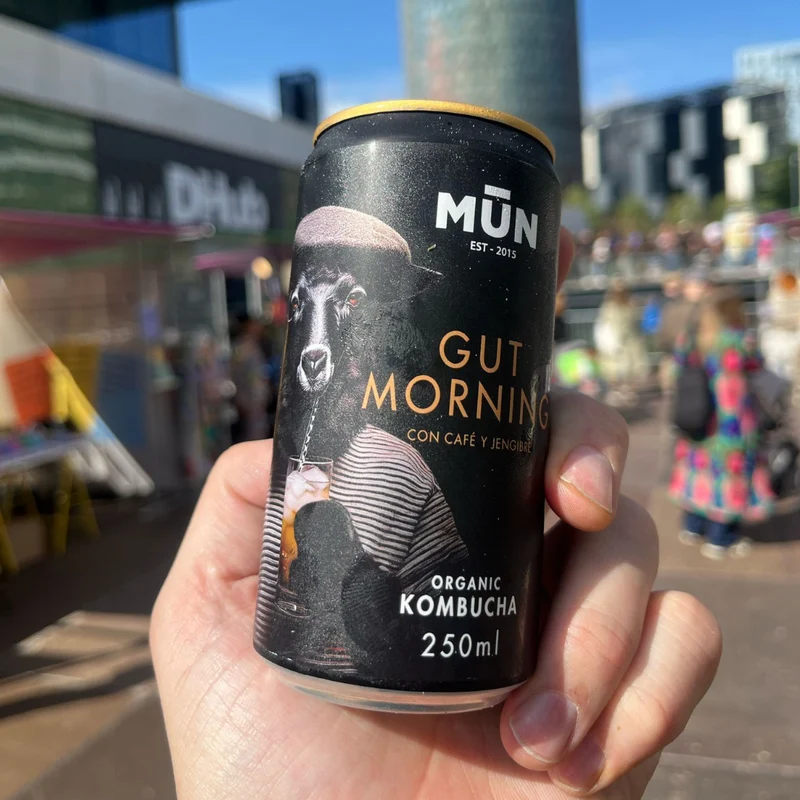 RADIKAL Try me Gut Morning | 4 latas 250 ml