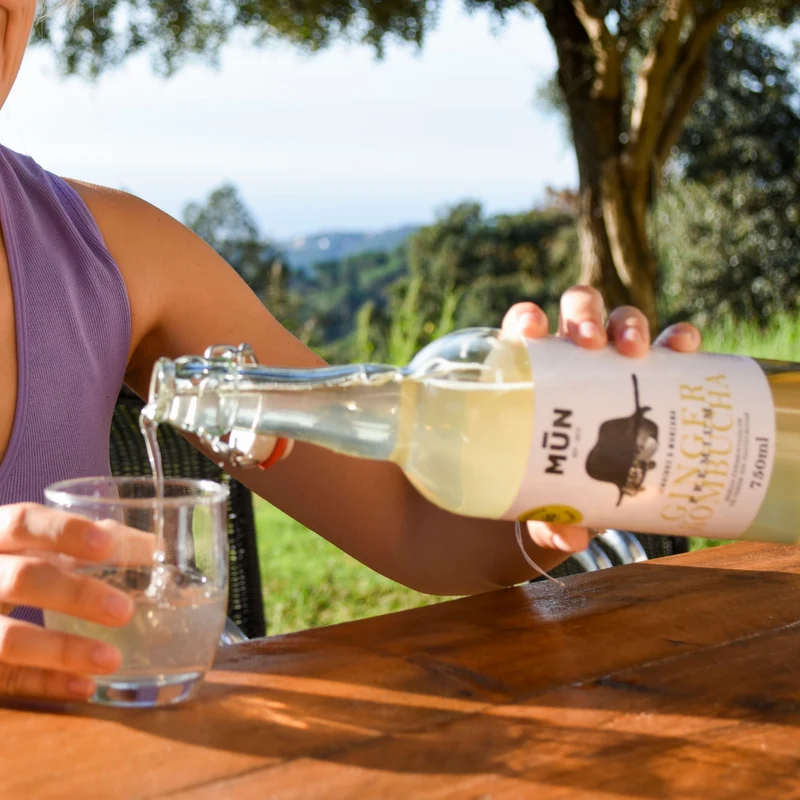Premium GINGER | 6 botellas 750 ml
