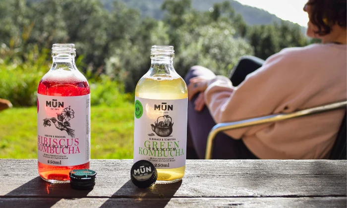MIX PACK | 12 botellas 250 ml